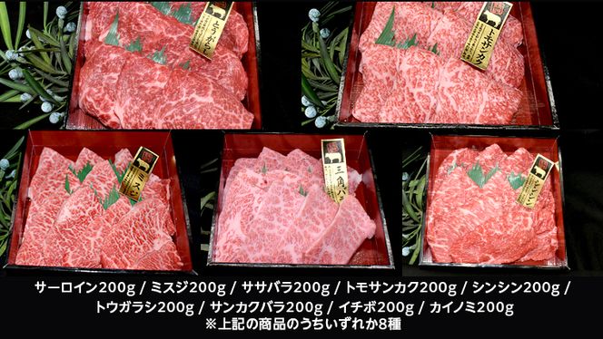 【 常陸牛 希少部位 】 焼肉 食べ比べ 8種 セット ( 茨城県共通返礼品 ) 国産 焼き肉 バーベキュー BBQ お肉 サーロイン バラ ブランド牛[BM052us]