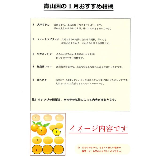 91-2939　【先行予約】１月おすすめ柑橘詰め合わせ５kg箱＜出荷開始：2025年1月15日~1月31日＞【 フルーツ 神奈川県 小田原市 】