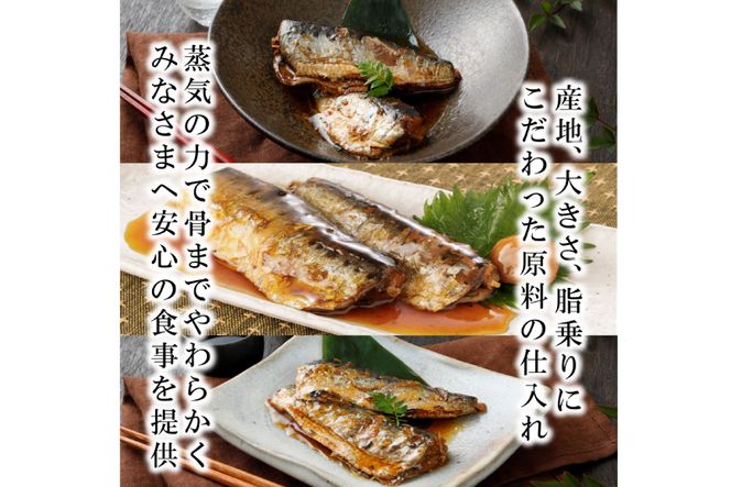3回 定期便 訳あり 業務用 いわし煮魚 3種 ×10尾 計30尾入 約1.5kg ×3回 総重量 約4.5kg [カネダイ 宮城県 気仙沼市 20565563] 魚 魚介 煮魚 国産 生姜煮 梅肉煮 みぞれ煮 おかず 焼き魚 簡単 時短 訳アリ 冷凍