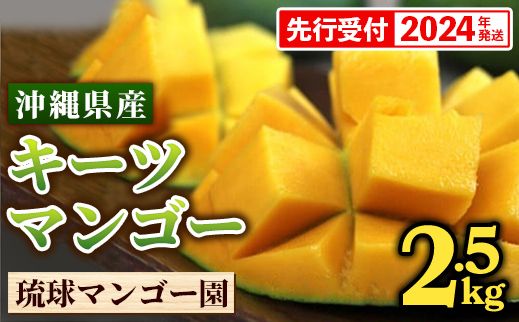 【先行受付】【2024年発送】琉球マンゴー園の幻のマンゴー！キーツマンゴー約2.5kg