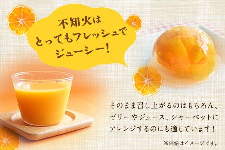 森田果樹園の不知火 5kg《2027年2月中旬-4月下旬頃出荷》森田果樹園 果物 フルーツ 柑橘 熊本---hkw_mtk_7_5kg---