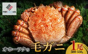 オホーツクの毛ガニ　[500g～550g×1尾]【配送不可地域：離島】 BHRI002