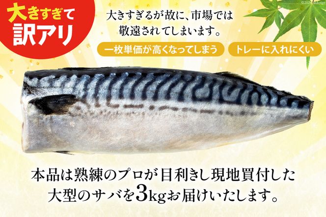 【CF01】訳あり 塩サバ フィレ 3kg [足利本店 宮城県 気仙沼市 20564146] 魚介類 魚 海鮮 大容量 サバ さば 鯖 サバフィレ サバフィーレ 鯖フィレ トロサバ 訳アリ 訳あり わけあり 切り身 冷凍