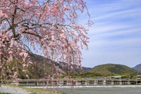 【京都市】JTBふるさと旅行券（紙券）90,000円分 261009_JDS01