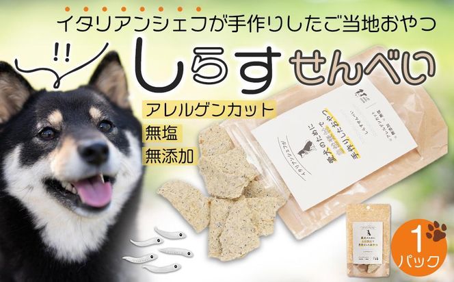 しらす せんべい ( 愛 犬  ワン 友 無添加 無塩 おやつ ) 1P ペット お試し用 REICAFE 【Rc14】 303446_DN90014