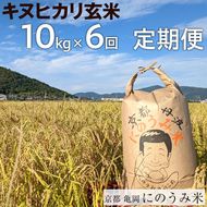 【定期便】【令和6年産先行予約】米 キヌヒカリ 定期便 玄米 10kg×6カ月〈アグリにのうみ〉京都・亀岡産《令和6年産》◇ ※北海道・沖縄・離島への配送不可※2024年10月中旬～11月中旬頃に順次発送予定