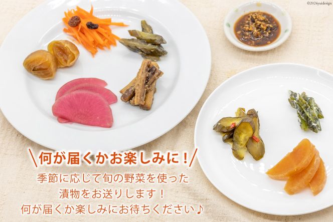 無添加 減塩 手作り 漬物 6種 食べ比べ セット [たびのそら 北海道 砂川市 12260517] 冷蔵 漬け物 つけもの 個包装
