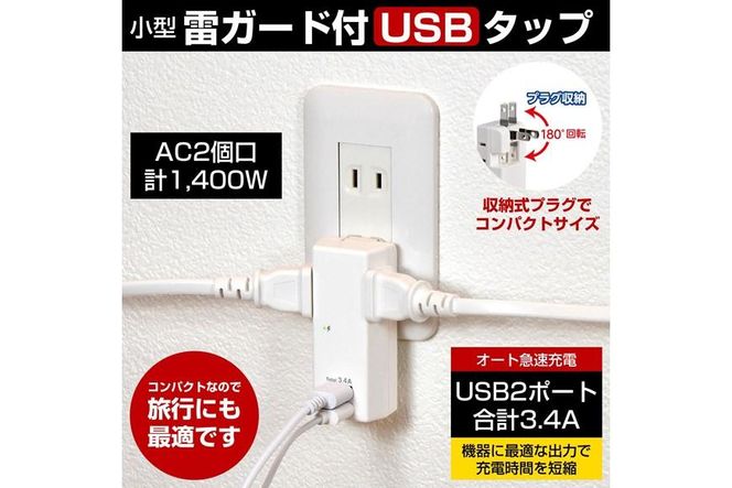 電源タップ　耐雷サージ　USBポート付き　USB×2ポート　2個口　3.4A　UA-223SB　 272183_AZ85