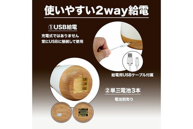 小物が入るLEDライト　小物入れ　木目調　2WAY電源　PM-LP101 272183_AZ86