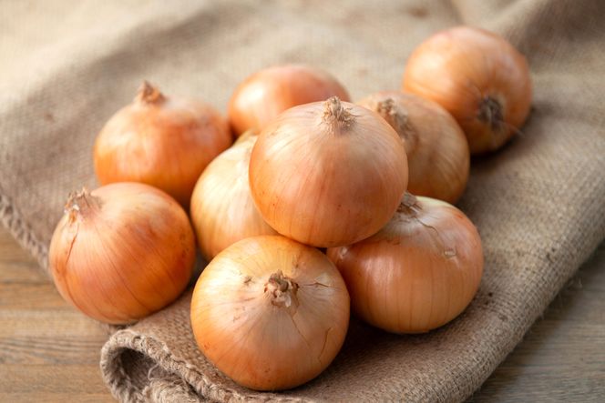 【令和7年産 先行受付】「数量限定訳あり品」玉ねぎMサイズ・20kg（2026年1月より順次発送） BHRG063