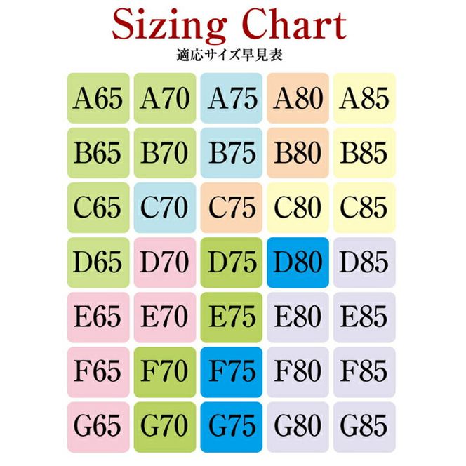 脇高メイクブラ［173N48］脇高 メイクブラ ブラショーツセット 1セット 選べる カラー ブラック レッド ピンク ブルー グレー ベージュ サイズ パット有 パット無 ブラジャー 育乳 産後
