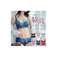 ふるさと納税 小牧市 脇高メイクブラ (レッド 85CD(パット無))[173N48-15] 脇高メイクブラ［173N48］脇高 メイクブラ ブラショーツセット 1