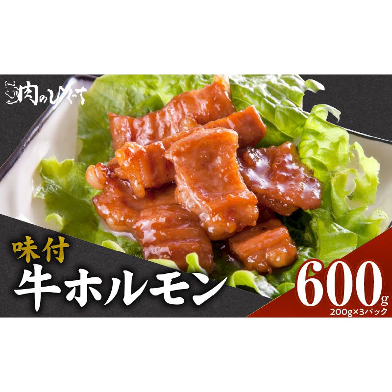 肉のひぐち 味付牛ホルモン[174N04]味付 牛ホルモン 200g × 3パック 牛肉 肉 ホルモン おうち時間 おうちごはん 簡単調理 モツ炒め おかず おつまみ バーベキュー BBQ 鍋