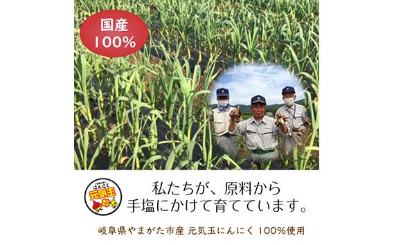 にんにくチップ　国産　無添加　150g  [No.659]