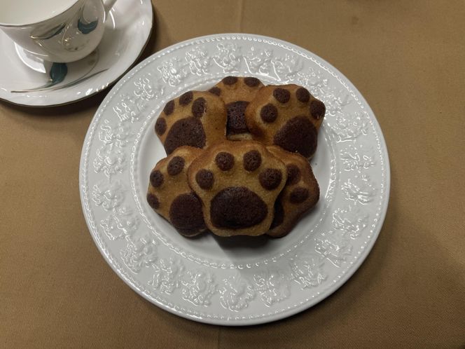 y{哌sztBiVF@킢^@7 272183_DP006