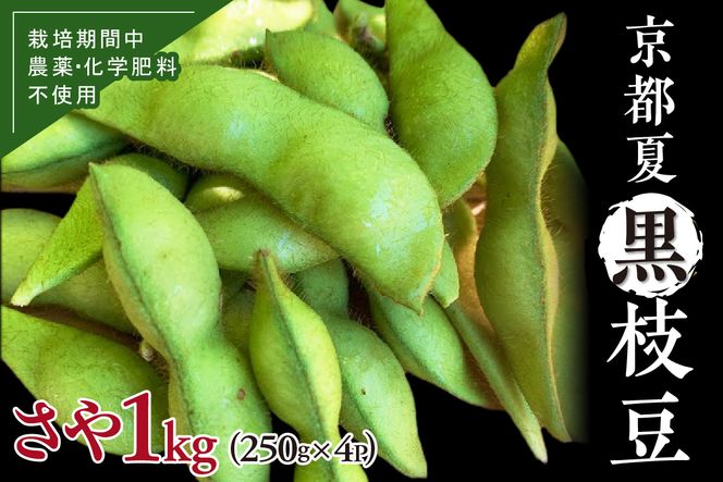 【先行予約／数量限定50】京都夏黒枝豆さや 1kg（250g×4パック）（栽培期間中農薬・化学肥料・除草剤不使用）（2025年7月中旬～発送）　KU00053