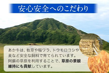 ミスジステーキ 120g×2枚 希少部位 株式会社 三協ダイニング《60日以内に出荷予定(土日祝を除く)》 熊本県産---so_fsankmisuji_60d_21_31000_240g---