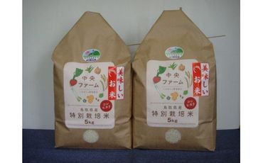 0308 鳥取県産特別栽培米こしひかり(10㎏)