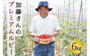 【2025年7月中旬から順次発送】【期間限定】加藤さんのプレミアムルビー 6kg 北海道産 高糖度 フルーツ ミニトマト サラダ パスタ スープ お弁当 産地直送 せたな町 ふるさと納税