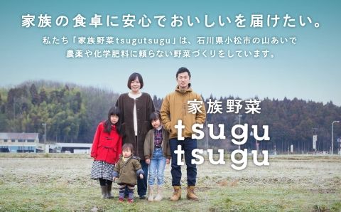 【先行予約】【農薬・化学肥料不使用】ねっとり甘~い おいもさん（紅はるか） ５kg   ey002n00
