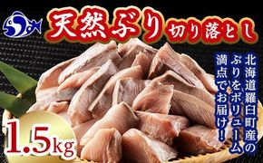 訳あり 北海道知床羅臼産 天然 ぶり 切り落とし（加熱用）1.5kg（500g×3袋）魚 海産物 魚介 魚介類 生産者 支援 応援 016942_AA007