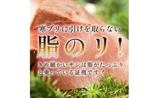 北海道 天然ぶり刺身3kg（250g ×12パック） 魚 海産物 魚介 魚介類 知床 しれとこ 羅臼 らうす 北海道 世界自然遺産 送料無料 人気 ブランド 天然 ブリ 鰤 刺身 海産 生産者 支援 応援 016942_AA010