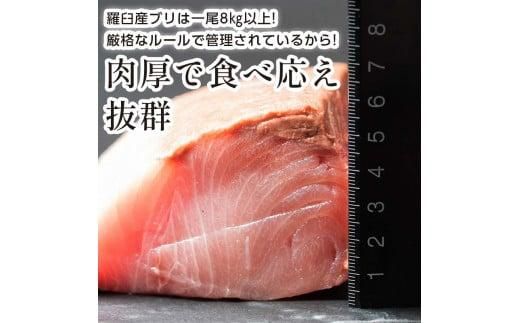 北海道 天然ぶり刺身3kg（250g ×12パック） 魚 海産物 魚介 魚介類 知床 しれとこ 羅臼 らうす 北海道 世界自然遺産 送料無料 人気 ブランド 天然 ブリ 鰤 刺身 海産 生産者 支援 応援 016942_AA010