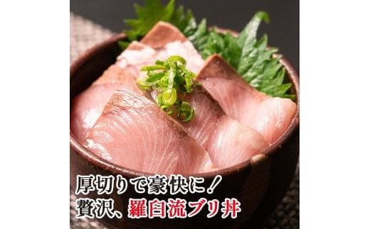 北海道 天然ぶり刺身3kg（250g ×12パック） 魚 海産物 魚介 魚介類 知床 しれとこ 羅臼 らうす 北海道 世界自然遺産 送料無料 人気 ブランド 天然 ブリ 鰤 刺身 海産 生産者 支援 応援 016942_AA010