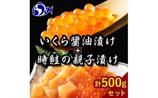 北海道 知床羅臼産 時鮭(ときしらず)の親子漬け・醤油いくらセット(計500g) 生産者 支援 応援 016942