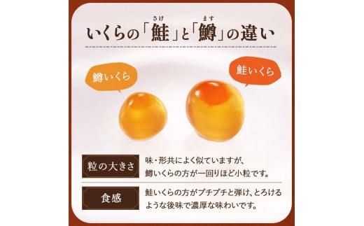 北海道 知床羅臼産 時鮭（ときしらず）の親子漬け・醤油いくらセット（計500g） 生産者 支援 応援 016942_AA021