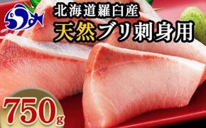 【2025年1月発送】北海道 知床羅臼産 天然ぶり刺身 750g（250g ×3パック） 魚 海産物 魚介 魚介類 ブリ 鰤 刺身 ご飯のお供 冷凍 生産者 支援 応援 016942_AA043VC03