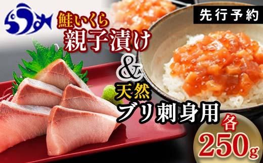 [2025年1月発送][先行予約]親子漬け・ぶり刺身セット500g(各250g×1)小分け いくら イクラ 秋鮭 さけ サケ 醤油漬け しょうゆ漬け ブリ 鰤 北海道 国産 羅臼 海鮮 魚介 ご飯のお供 生産者 支援 応援 016942_AA045VC03