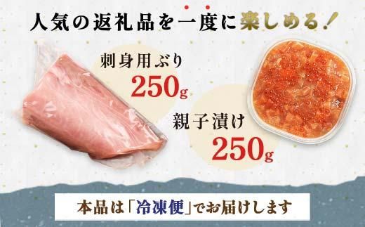 【2025年1月発送】【先行予約】親子漬け・ぶり刺身セット500g（各250g×1）小分け いくら イクラ 秋鮭 さけ サケ 醤油漬け しょうゆ漬け ブリ 鰤 北海道 国産 羅臼 海鮮 魚介 ご飯のお供 生産者 支援 応援 016942_AA045VC03