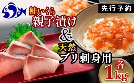 【2025年1月発送】【先行予約】親子漬け・ぶり刺身セット2kg（各250g×4）小分け いくら イクラ 秋鮭 さけ サケ 醤油漬け しょうゆ漬け ブリ 鰤 北海道 国産 羅臼 海鮮 魚介 ご飯のお供 生産者 支援 応援 016942_AA049VC03