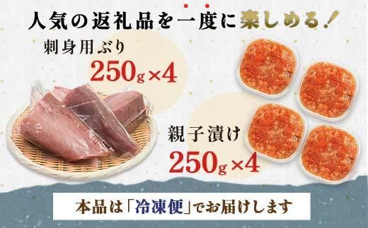 【2025年1月発送】【先行予約】親子漬け・ぶり刺身セット2kg（各250g×4）小分け いくら イクラ 秋鮭 さけ サケ 醤油漬け しょうゆ漬け ブリ 鰤 北海道 国産 羅臼 海鮮 魚介 ご飯のお供 生産者 支援 応援 016942_AA049VC03