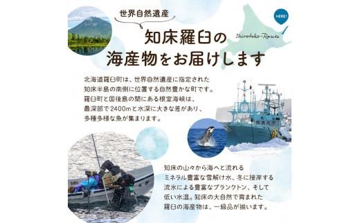 【2025年2月発送】知床羅臼産 海の味覚贅沢5種セット いくら ホタテ ほっけ イカ ブリ 干物 刺身 しょうゆ漬け 一夜干し 魚卵 海鮮 魚介 詰め合わせ 北海道 生産者 支援 応援 016942_AA059VC02