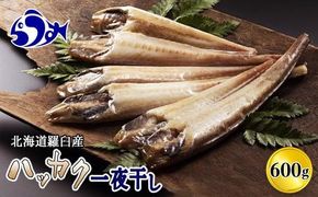 【2025年2月発送】知床羅臼産 八角（ハッカク） トクビレ 一夜干し 200g×3パック 干物 はっかく 高級魚 海鮮 魚介 北海道 生産者 支援 応援 016942_AA061VC02