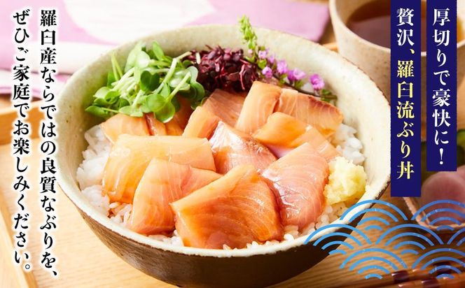 【2026年2月発送】北海道 知床羅臼産 天然ぶり刺身 500g (250g×2パック) 魚 海産物 魚介 魚介類 ブリ 鰤 刺身 ご飯のお供 冷凍 生産者 支援 応援 016942_AA066VC02