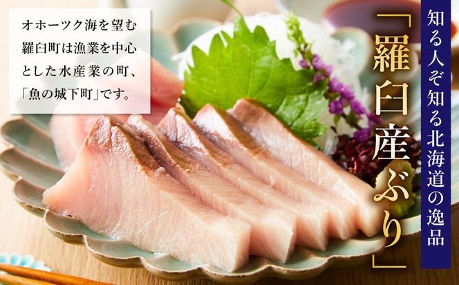 【2026年2月発送】北海道 知床羅臼産 天然ぶり刺身 1.5kg (250g×6パック) 魚 海産物 魚介 魚介類 ブリ 鰤 刺身 ご飯のお供 冷凍 生産者 支援 応援 016942_AA068VC02