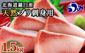 【2025年3月発送】北海道 知床羅臼産 天然ぶり刺身 1.5kg (250g×6パック) 魚 海産物 魚介 魚介類 ブリ 鰤 刺身 ご飯のお供 冷凍 生産者 支援 応援 016942_AA068VC03