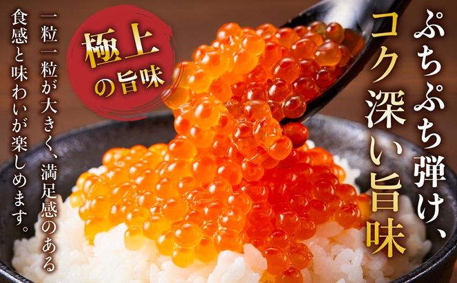 いくら醤油漬け　500g　パック イクラ しょうゆ漬け サケ さけ しゃけ シャケ 海鮮丼 魚介 魚卵 北海道 生産者 支援 応援 016942_AA072