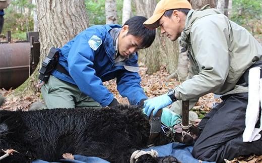 知床財団オリジナル クラフト「海」セット 生産者 支援 応援 016942_AB006