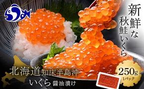 いくら醤油漬け 250g イクラ 魚卵 いくら丼 海鮮丼 ご飯のお供 羅臼町 北海道 生産者 支援 応援 016942_AE054