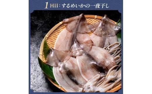 3か月連続定期便 羅臼産厳選 海産物 定期便 ホッケ ほっけ 干物 魚 イカ いか おつまみ いくら イクラ 秋鮭 ご飯のお供 北海道 羅臼町 016942_AE102