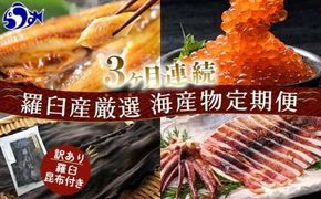 3か月連続定期便 羅臼産厳選 海産物 訳あり羅臼昆布付き定期便 こんぶ コンブ 出汁 ホッケ ほっけ 干物 魚 イカ いか おつまみ いくら イクラ 秋鮭 ご飯のお供 北海道 羅臼町 016942_AE104