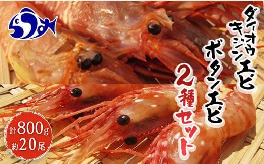 ダイオウキジンエビ(ガサエビ)とボタンエビのセット  えび エビ 海老 食べ比べ 魚介 魚介類 北海道 羅臼町 海産物 冷凍 刺身 フライ 生産者 支援 応援 016942_AH013