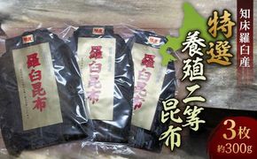 羅臼昆布 養殖 2等 約300gセット(100g×3個) 北海道 知床 羅臼産 生産者 支援 応援 016942_AH051