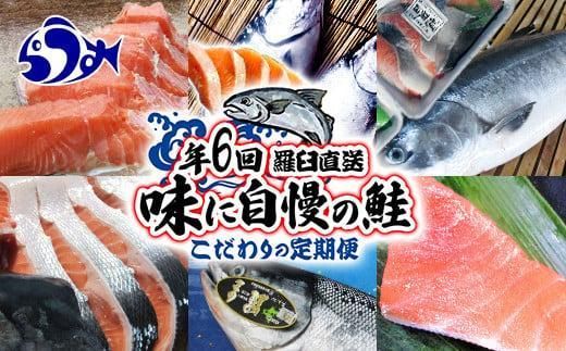 年6回　羅臼直送　味に自慢の鮭（サーモン）こだわりの定期便 生産者 支援 応援 016942_AH086