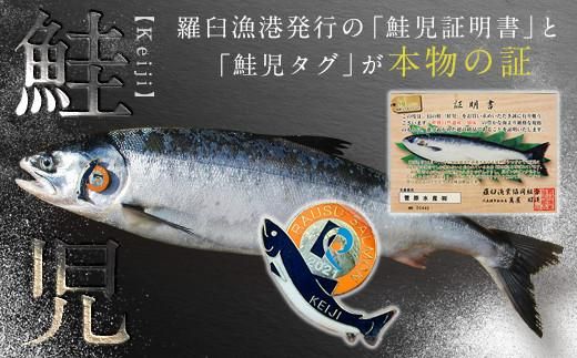 知床羅臼産 幻の鮭児 1.7kg 生産者 支援 応援 016942_AH101