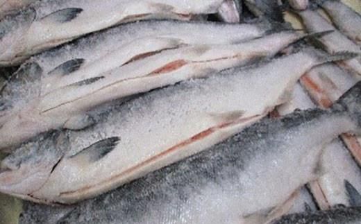 知床羅臼産　鮭　秋味切身セット 約400g×2パック 生産者 支援 応援 016942_AH112